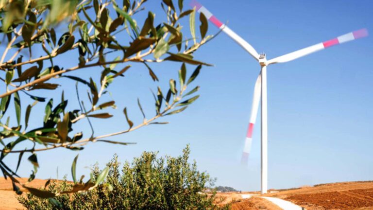 renovables invaden medio rural