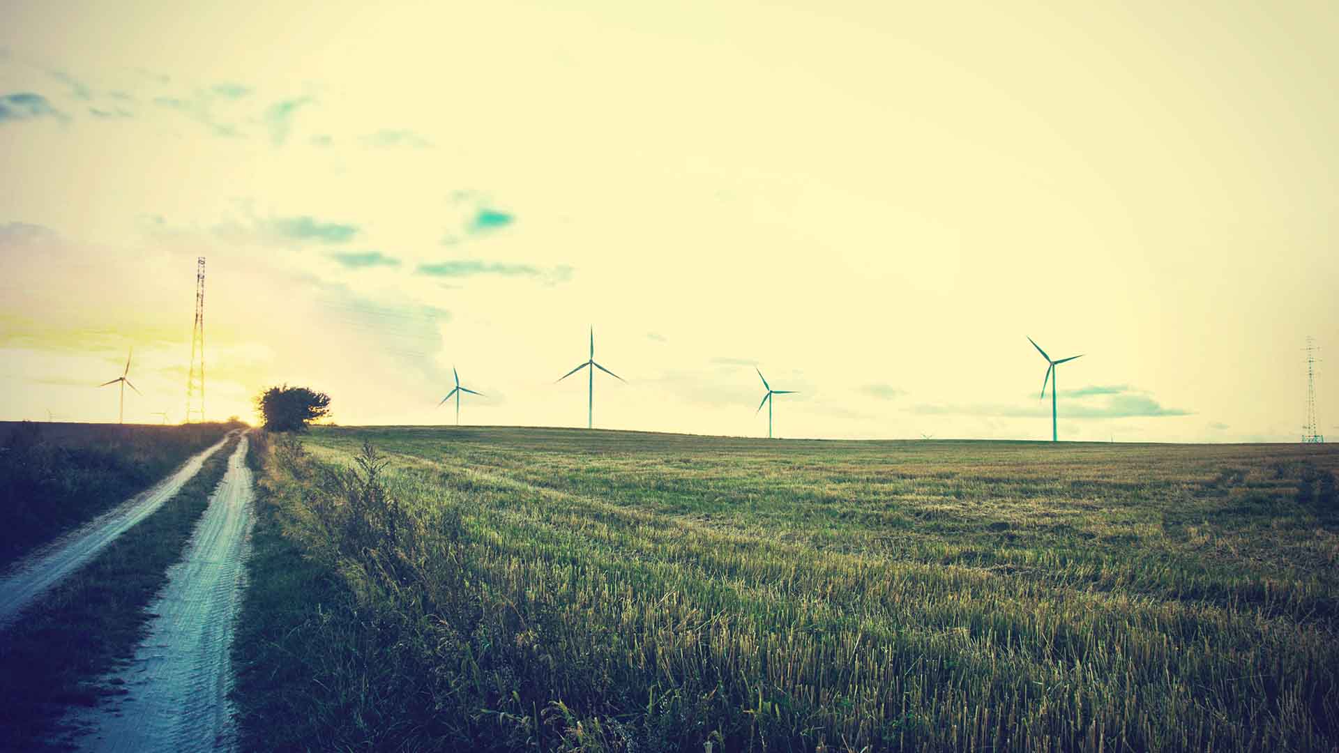 Descarbonización en el medio rural
